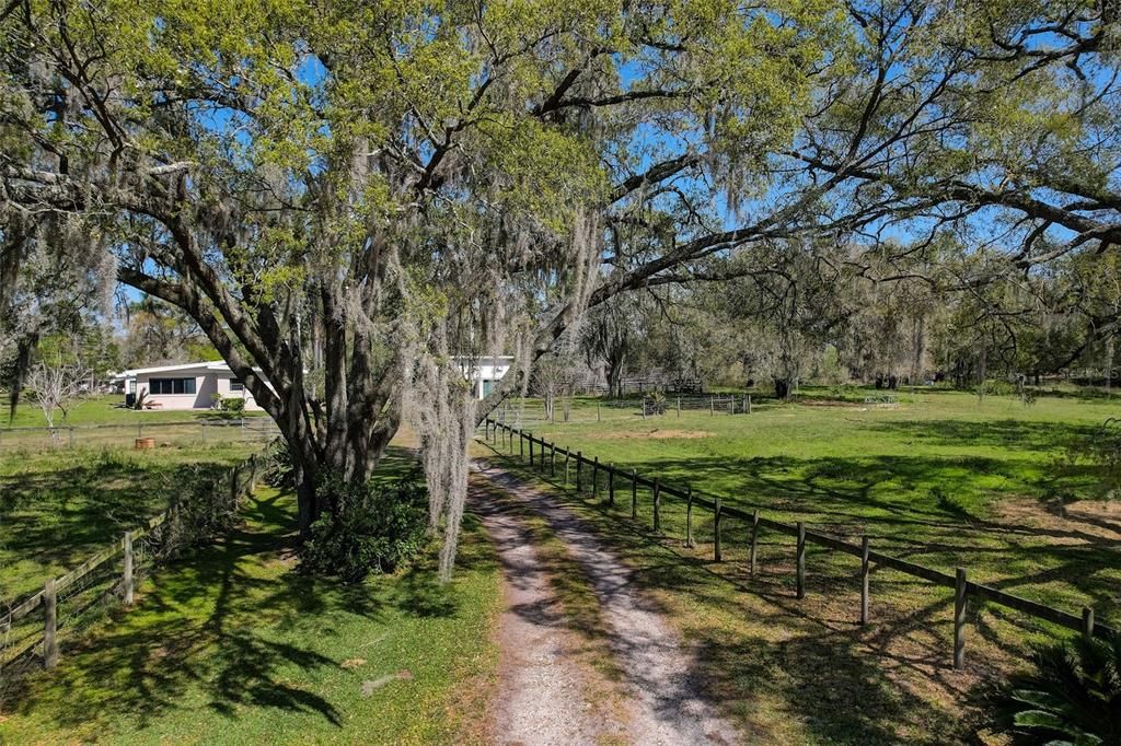 For Sale: $1,700,000 (18.20 acres)