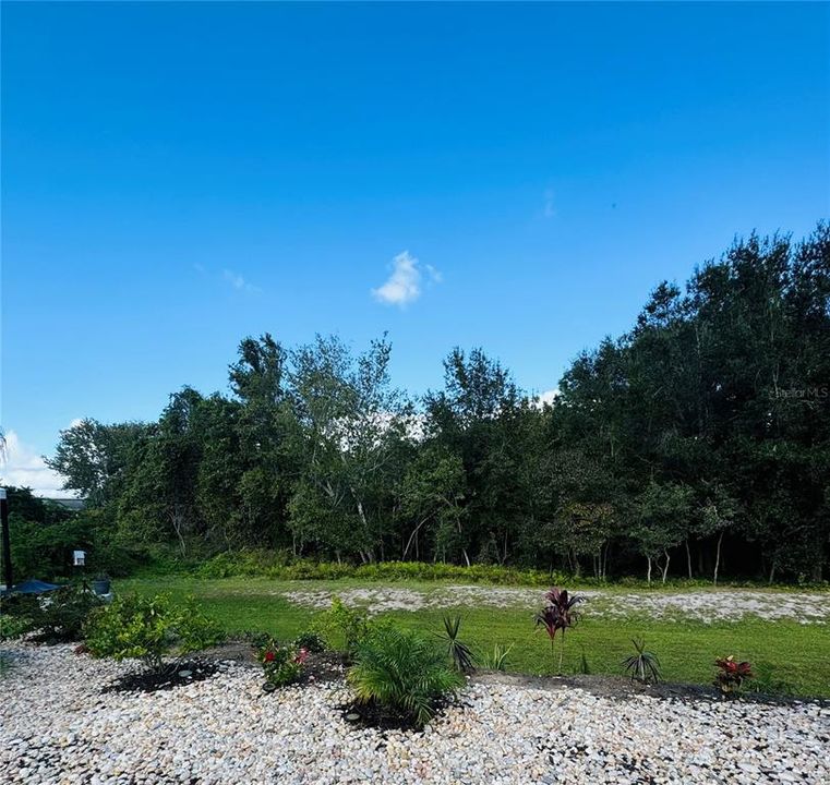 View of the Peaceful Woods behind the lot