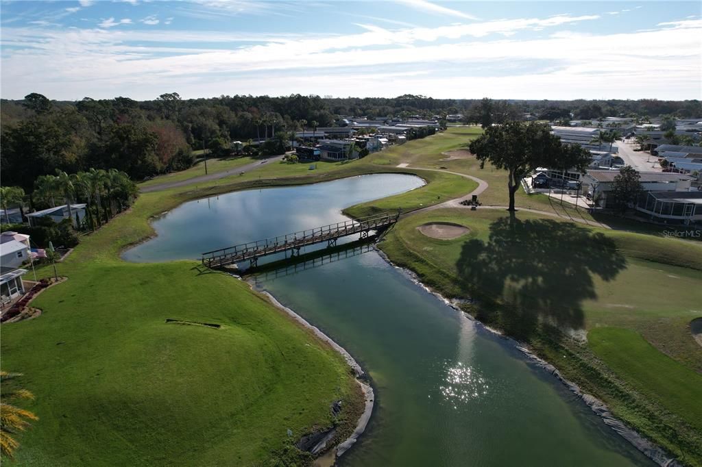 Nice pond on the golf course!