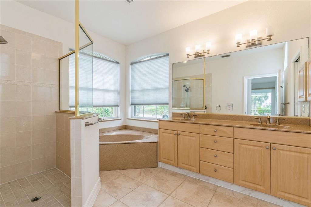 Master bathroom with garden tub & walk in shower