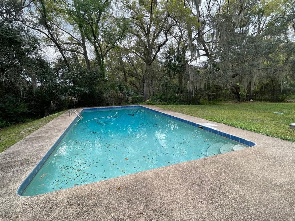 Oversized Pool