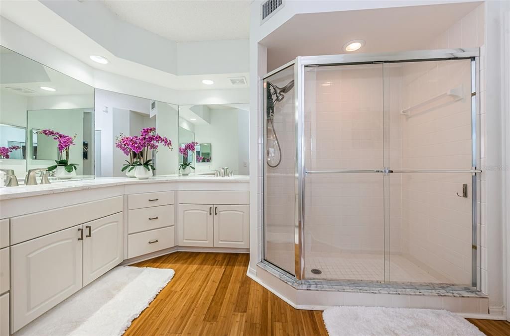 Walk-in shower in master.