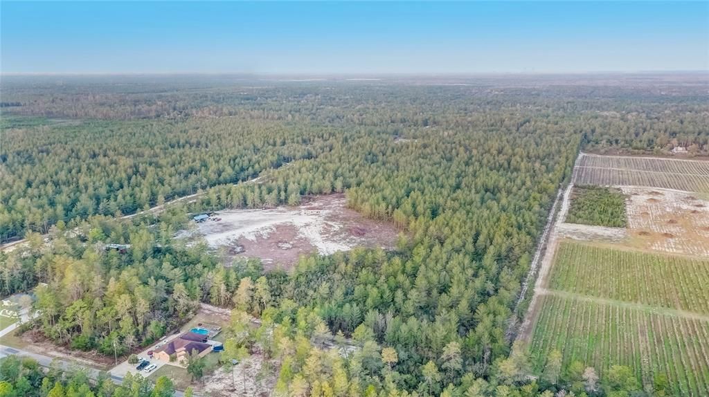 For Sale: $599,000 (31.12 acres)