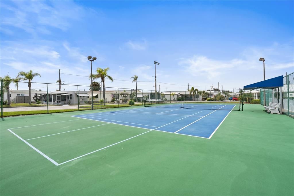 Pickleball & Tennis Court