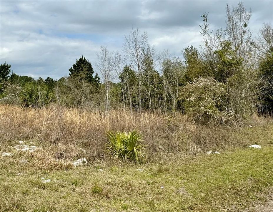 Recently Sold: $16,900 (0.24 acres)