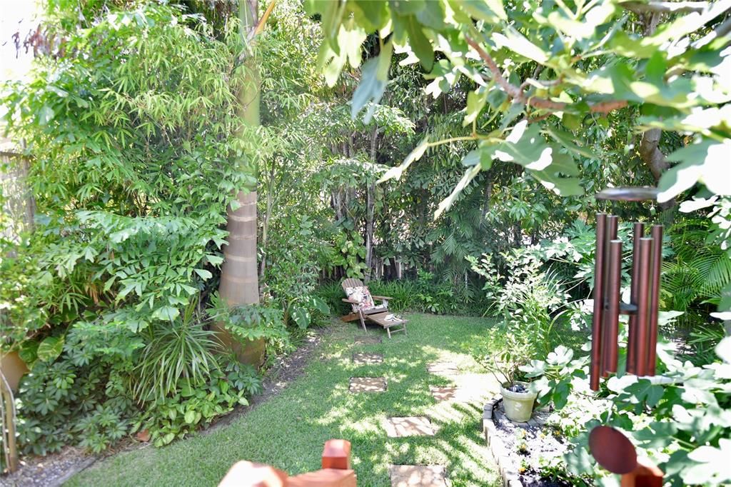Lush, private and peaceful backyard with mango, papaya, banana and lime trees!