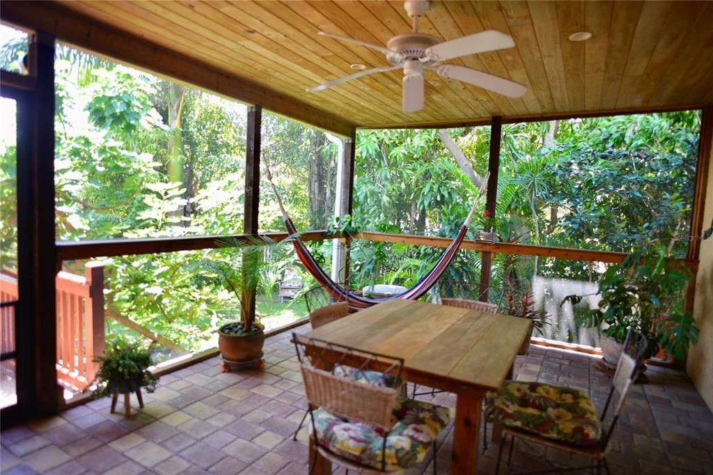 Lush, private and peaceful backyard with mango, papaya, banana and lime trees!