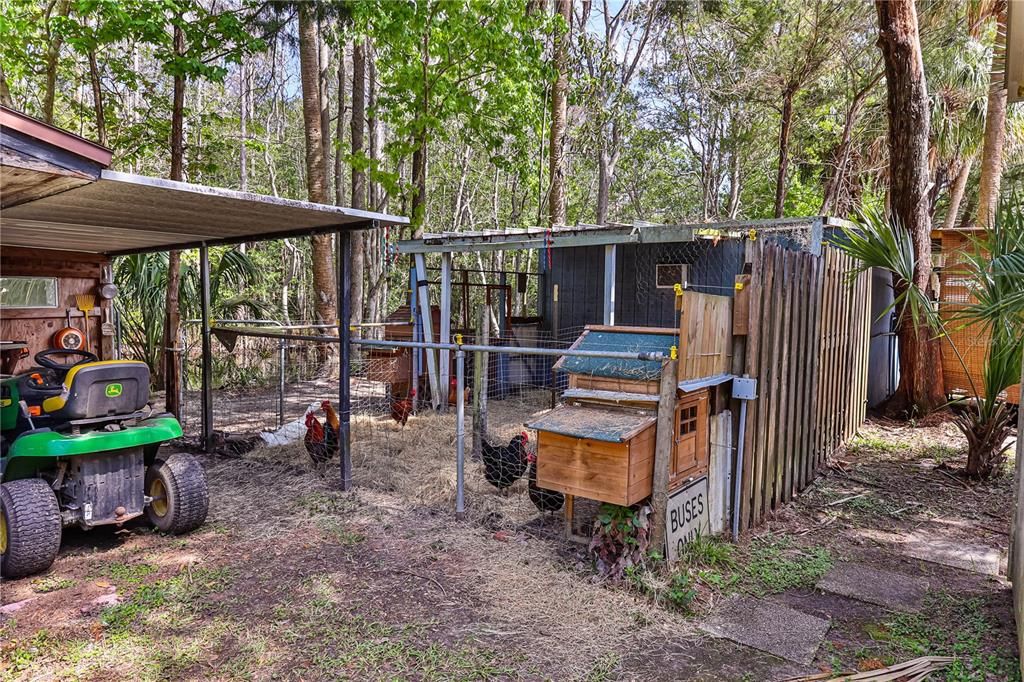 Chicken coop and one sheds