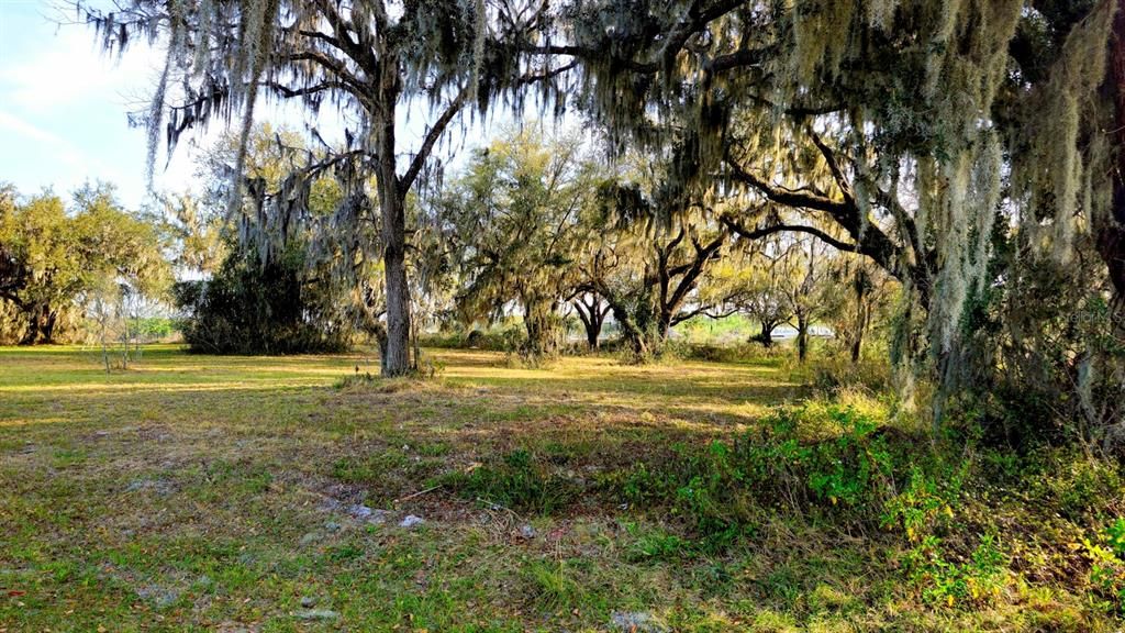 Front View of Lot from the west