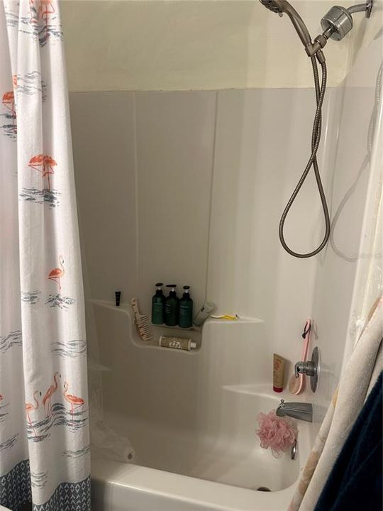 Primary Bathroom shower