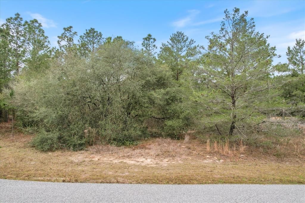 Recently Sold: $19,000 (0.25 acres)