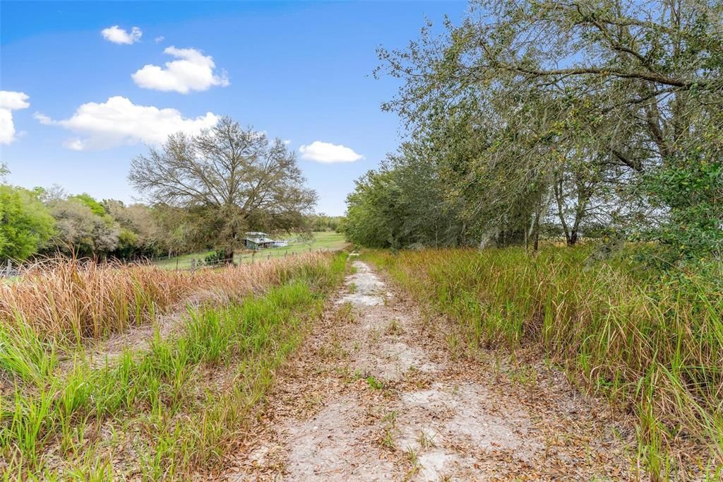 Roadway leading up to Property