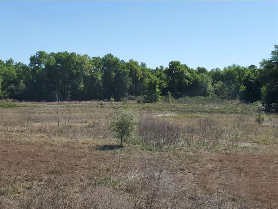 For Sale: $750,000 (91.04 acres)