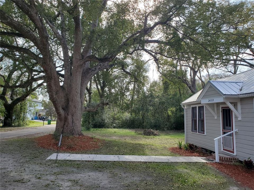 For Sale: $235,000 (3 beds, 2 baths, 1371 Square Feet)