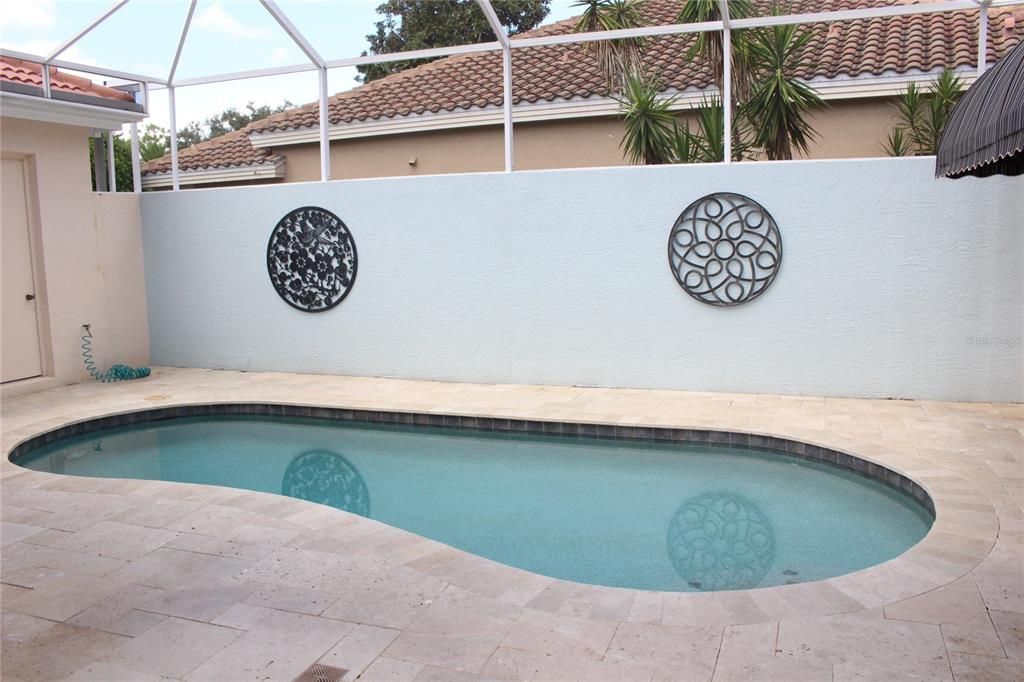 Courtyard Pool