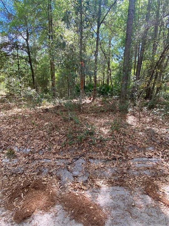 Recently Sold: $25,000 (1.25 acres)