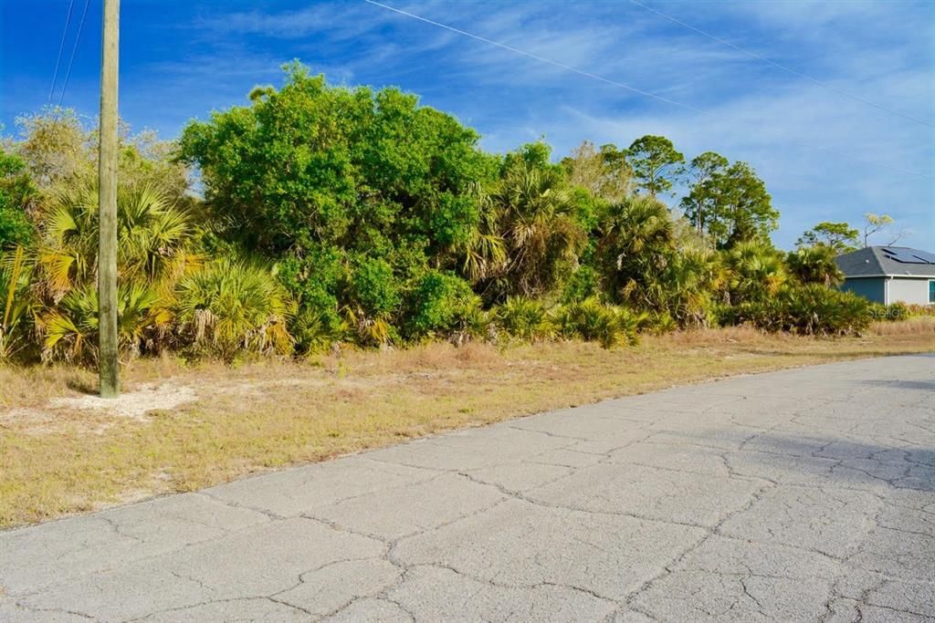 For Sale: $29,999 (0.25 acres)