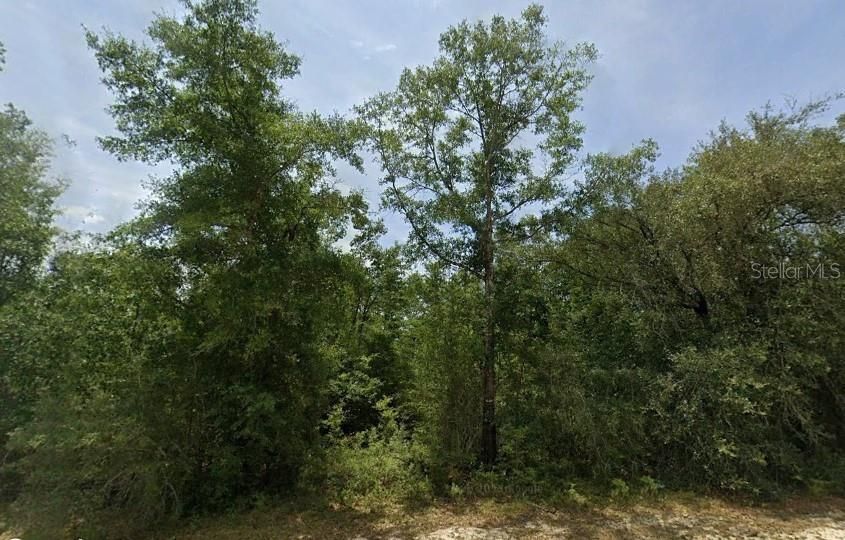 For Sale: $9,000 (0.24 acres)