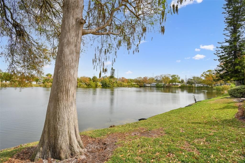 Active With Contract: $230,000 (2 beds, 2 baths, 1170 Square Feet)