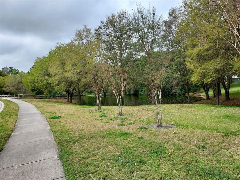 Sidewalk view