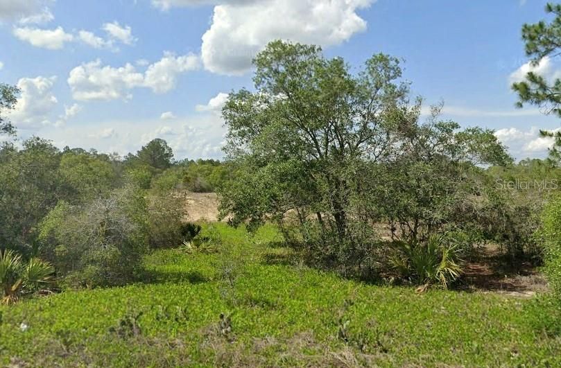 For Sale: $21,000 (0.23 acres)