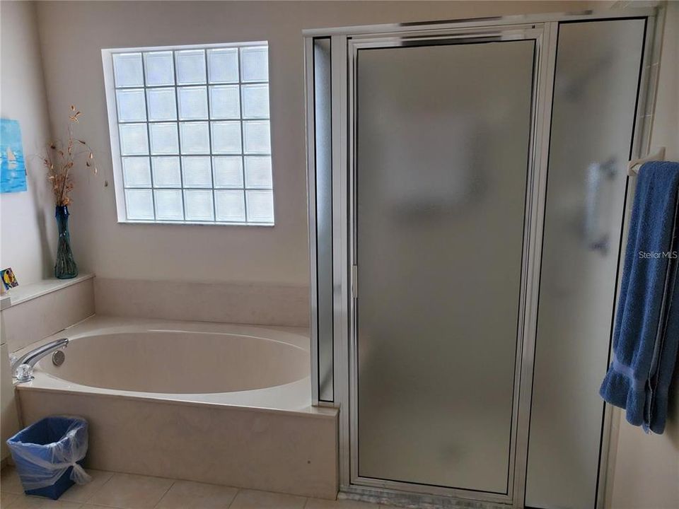Tub & Shower in Master bathroom