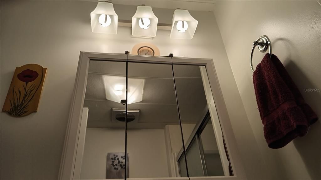 Modern Lighting in the 2nd Bathroom