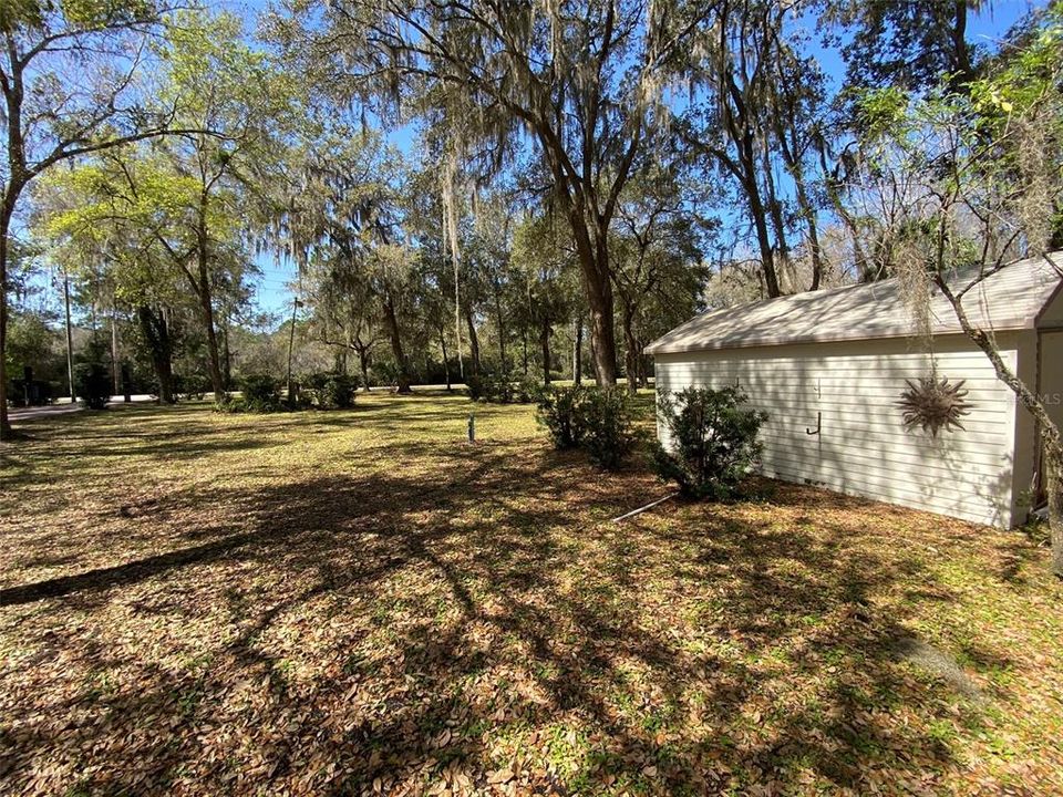 South side of shed