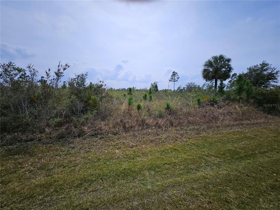 Recently Sold: $15,000 (0.50 acres)