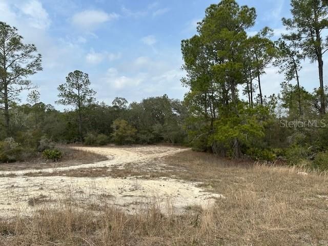 For Sale: $18,000 (0.69 acres)