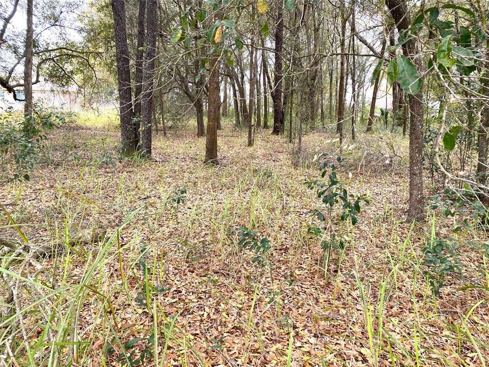 Active With Contract: $29,900 (0.23 acres)