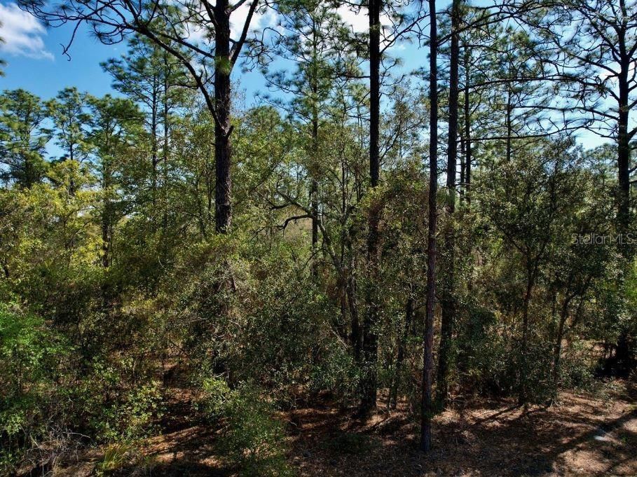 Recently Sold: $45,000 (1.12 acres)