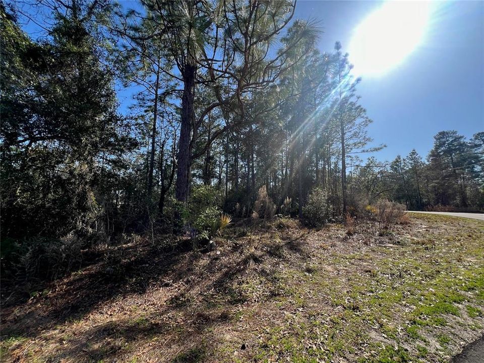 Active With Contract: $29,900 (0.25 acres)