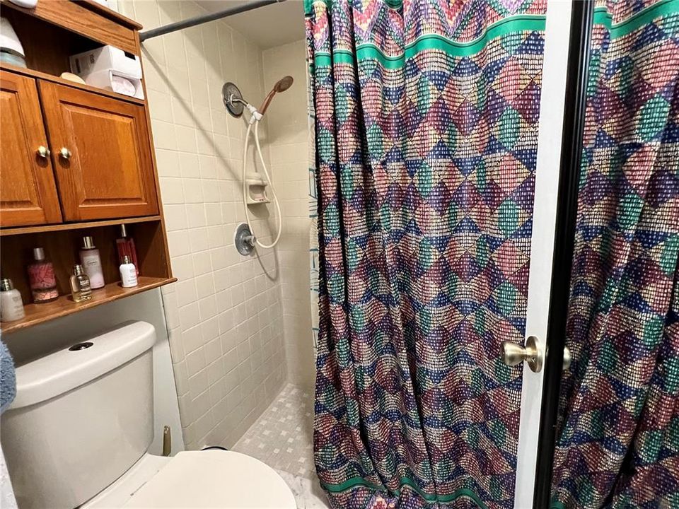 Master Bathroom-shower