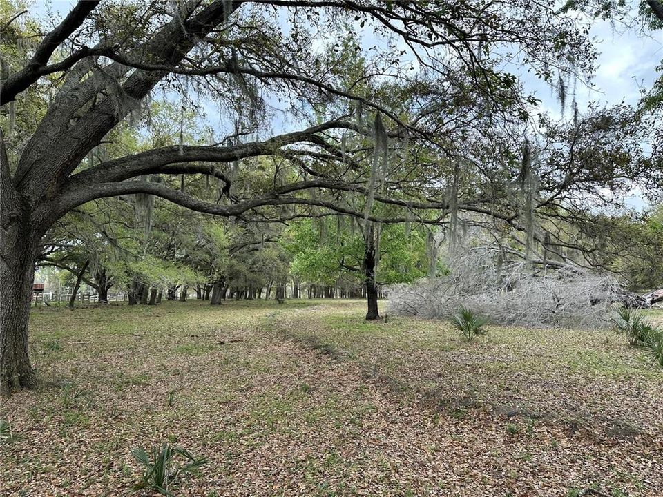 Active With Contract: $300,000 (4.88 acres)