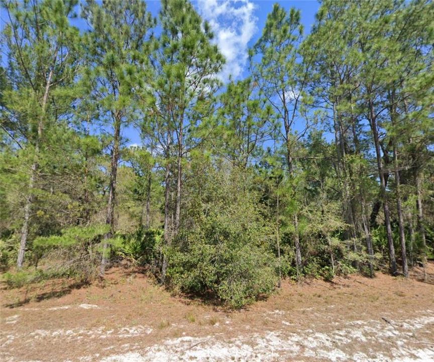 Active With Contract: $17,999 (0.35 acres)