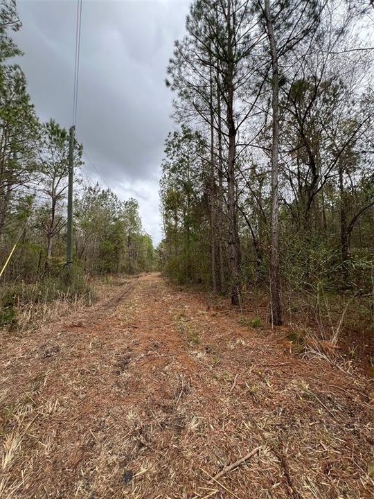 Active With Contract: $84,900 (11.04 acres)