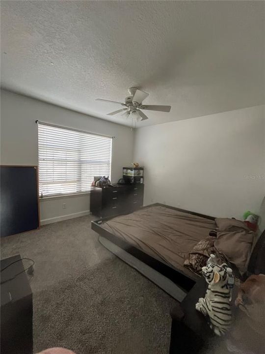 For Sale: $170,000 (2 beds, 1 baths, 896 Square Feet)