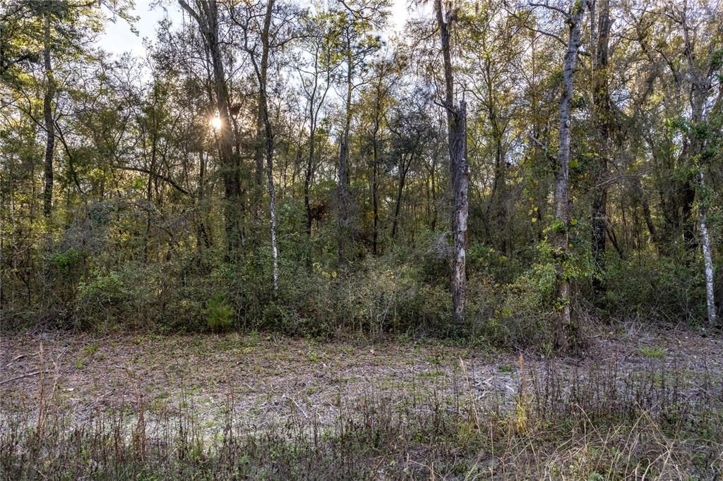 For Sale: $89,000 (4.74 acres)