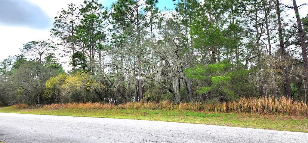 Active With Contract: $40,000 (0.24 acres)