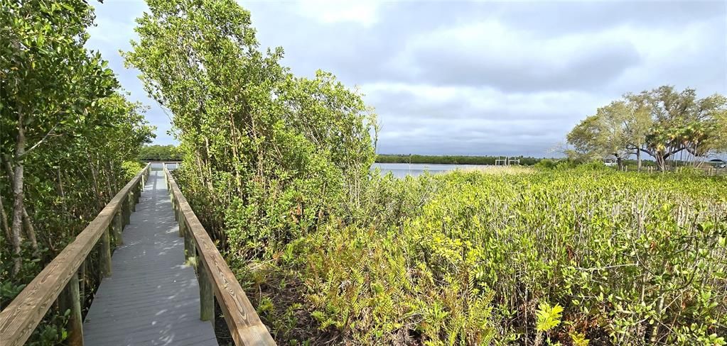 Walkway to dock