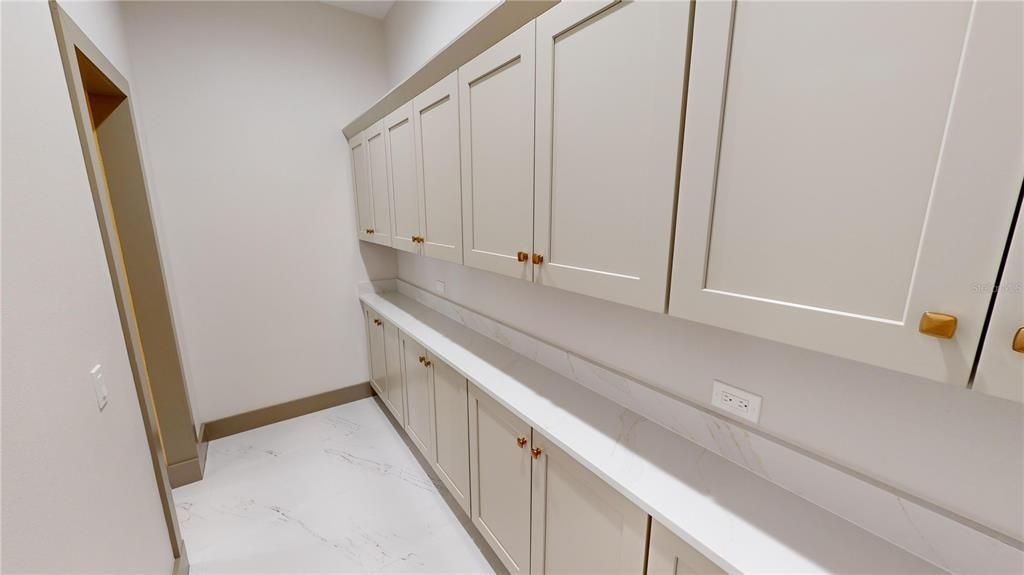 Walk-in pantry with extensive storage