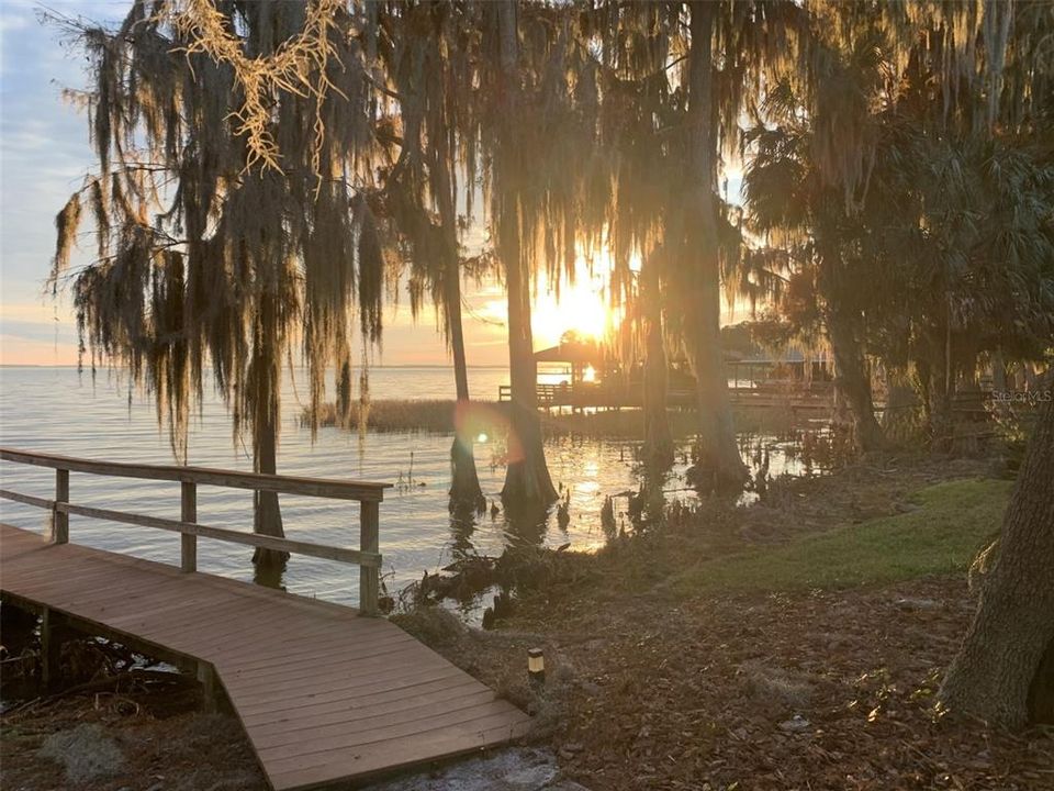 Picturesque views of the sun shining through the cypress and spanish moss