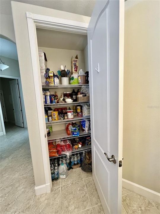 Large Pantry In The Kitchen Keeps You Organized