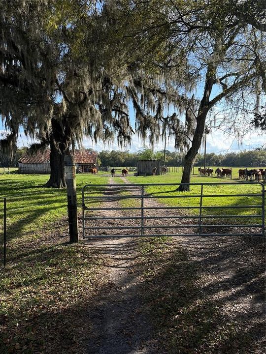 For Sale: $995,000 (47.00 acres)