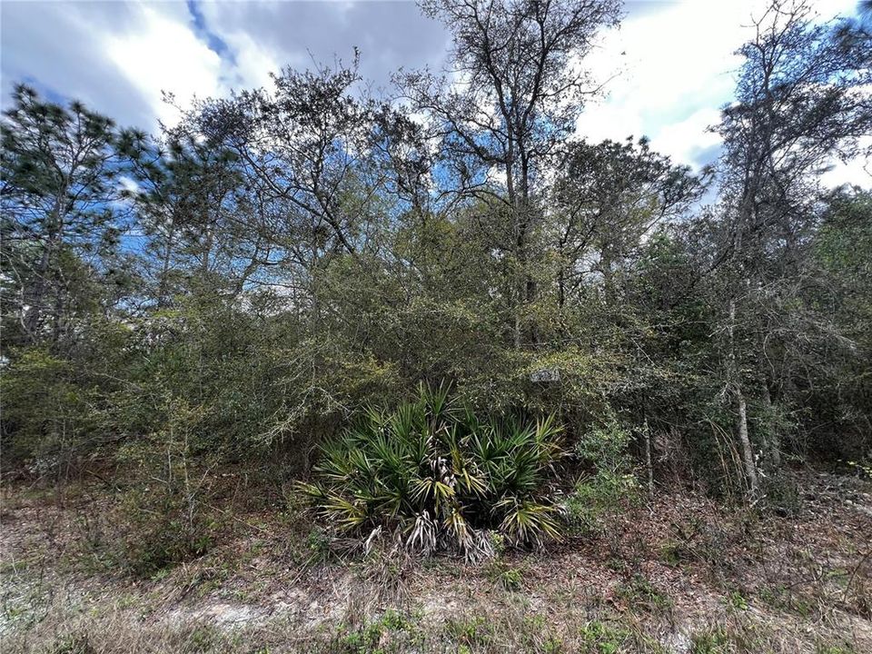 En Venta: $30,000 (0.60 acres)