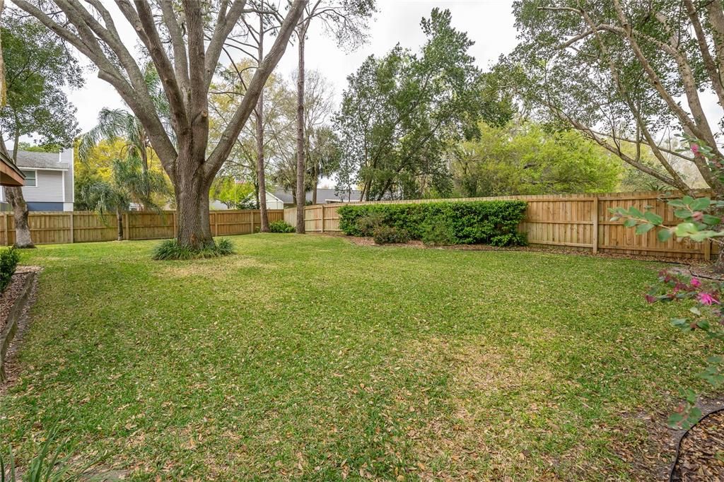 large fenced yard with view beautiful oaks