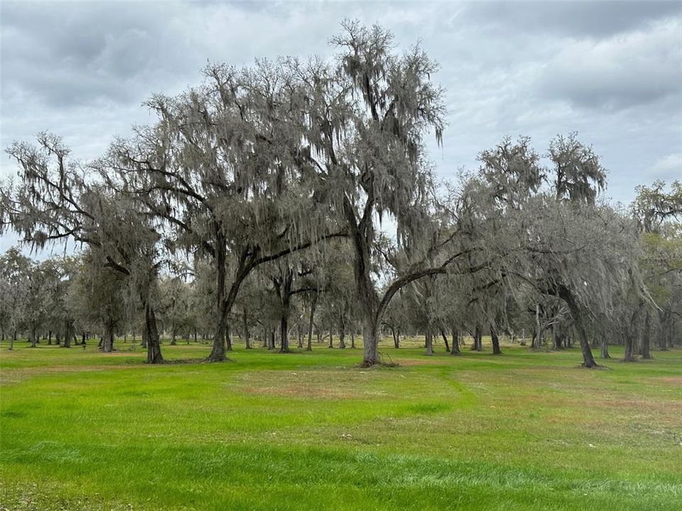 На продажу: $1,273,600 (64.00 acres)