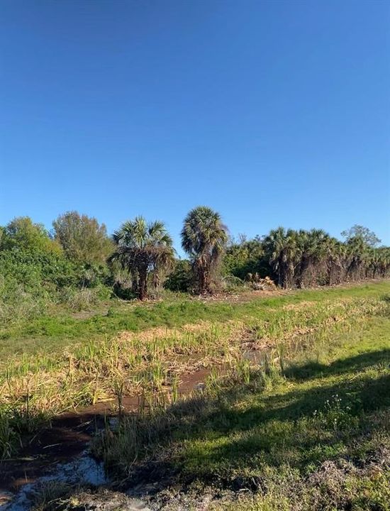 Active With Contract: $175,000 (2.41 acres)