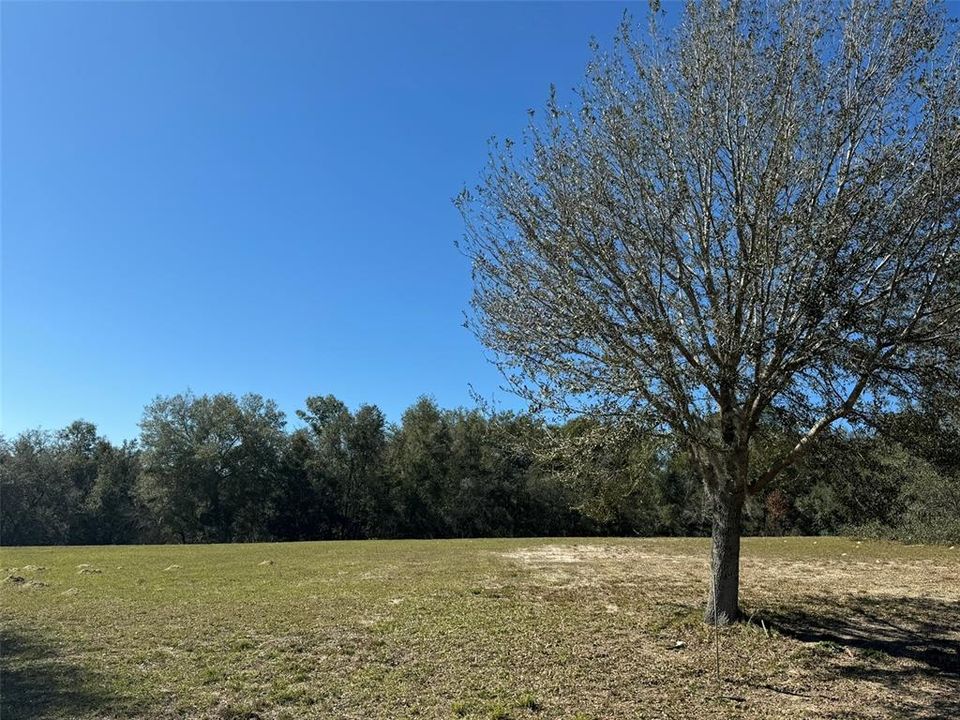 For Sale: $106,000 (2.02 acres)